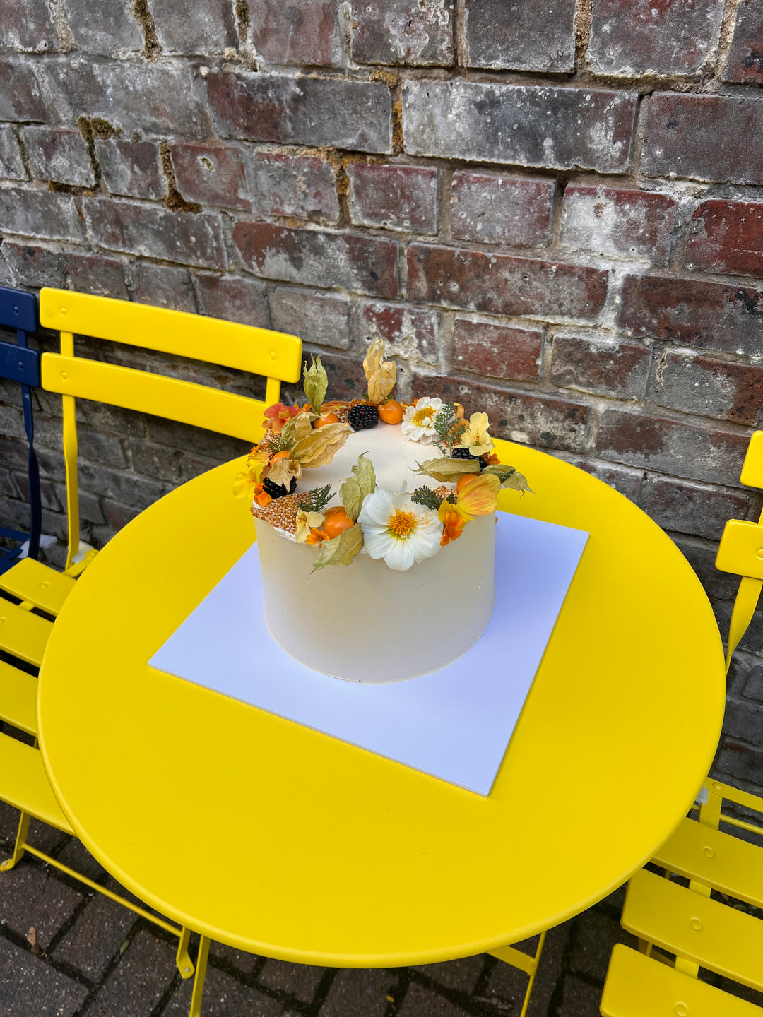 Chocolate Sesame Cake