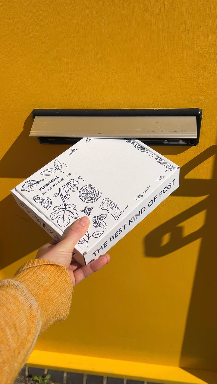 Christmas Brownie Selection Box