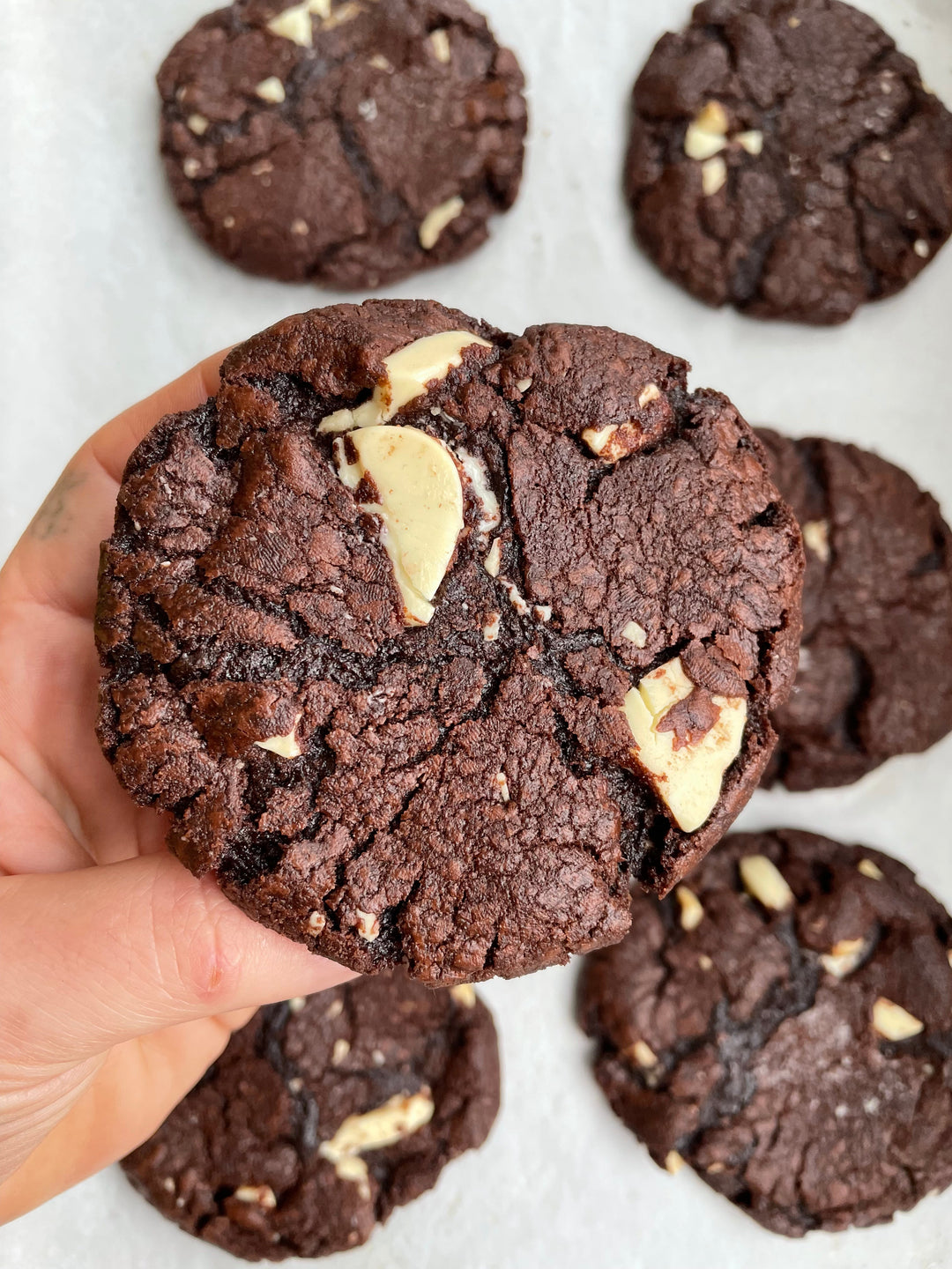 Double Chocolate Cookies - Box of 12